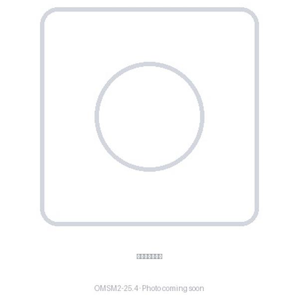 Stainless Steel 2-Axis Mirror Mount